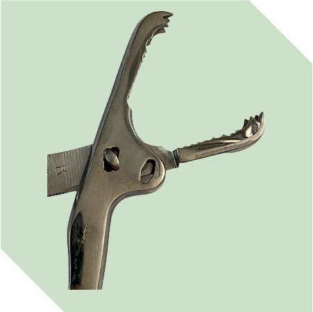 Grasping & Holding